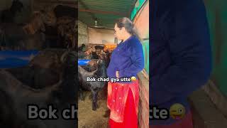 Chadan lagga c thodi kamal te 😜😂😱🤭 #kamalkaur #viral #funnyvideo #comedyvideo #trendingshorts