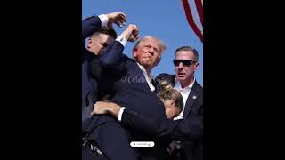 OnlyFans star Drea de Matteo claims Donald #shorts #viral #trending #Celebrity65