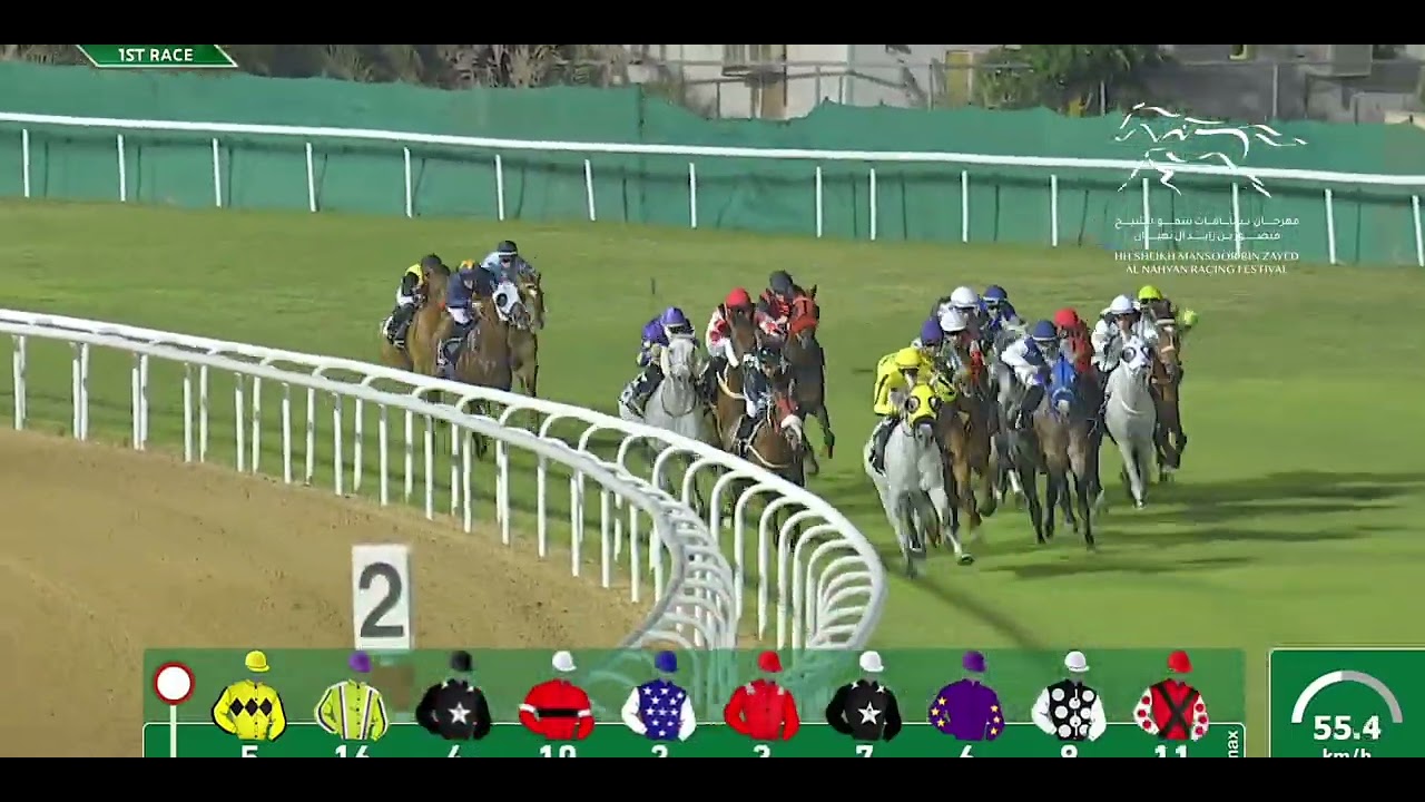 WATHBA STALLIONS CUP FOR PRIVATE OWNERS ONLY - ABU DHABI EQUESTRIAN CLUB | 03/12/2023