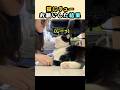 猫にチューお願いしてみた結果