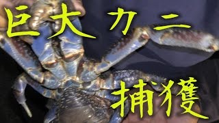 【サバイバル】夜にカヤックを出したら転覆した。【釣り三昧の旅　1話】