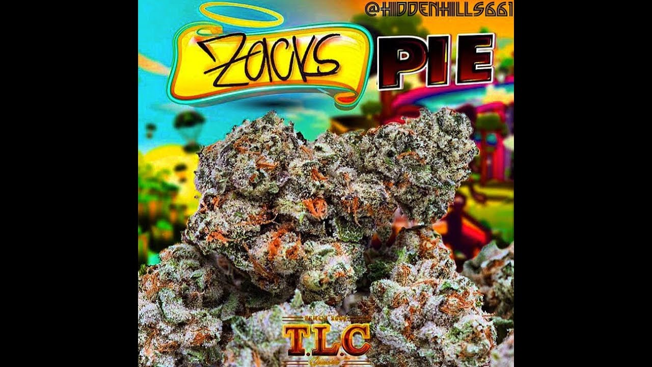 Jungle Boys Zacks Pie 💫 strain review (31THC) YouTube