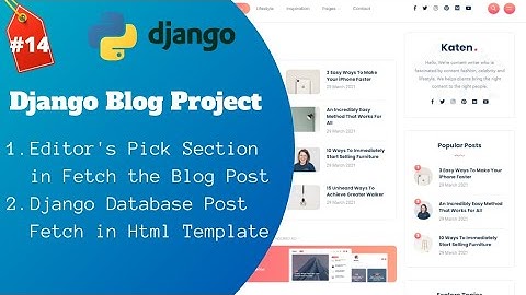 #14 Django Blog Project - Editor