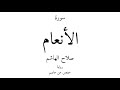6 القرآن الكريم سورة الأنعام صلاح الهاشم 6 القرآن الكريم سورة الأنعام صلاح الهاشم