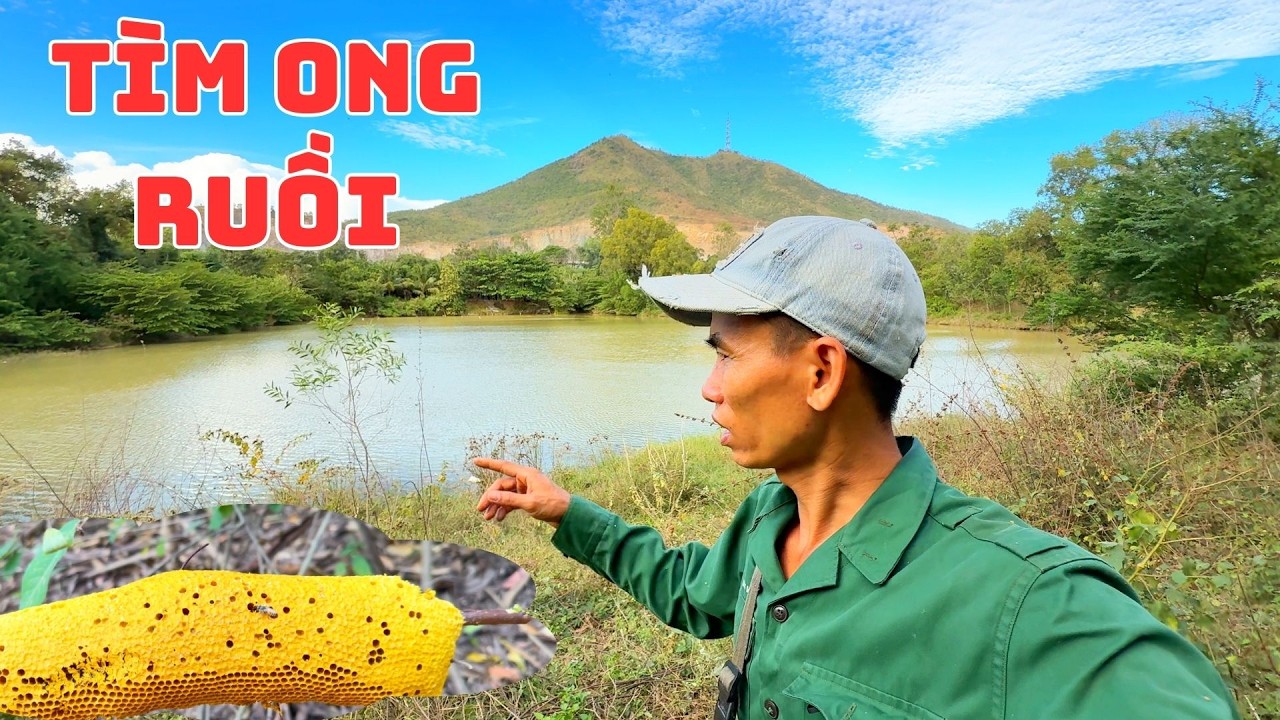 TÌM ONG RUỒI GẦN KHU NHÀ MÁY ĐÁ NÚI TÀ ZÔN BÌNH THUẬN CỦ.