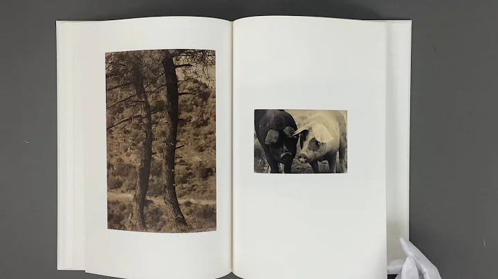 YAMAMOTO Masao "Son Album" / Son Album