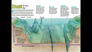 Aquatic Biomes 1 3