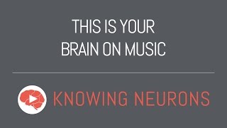 This is Your Brain on Music
