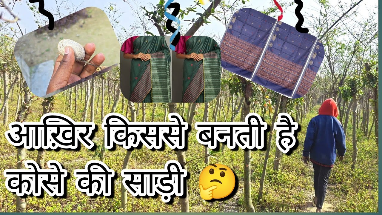छत्तीसगढ़ की प्रसिद्ध, कोसे की साड़ी किससे बनती है जानिए l 