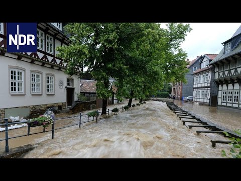 Video: Hochwasserriesen. Gab Es Andere Arten Von Menschlichkeit Vor Uns? - Alternative Ansicht