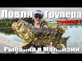 Big Grouper - fishing in Malaysia (trailer 1)