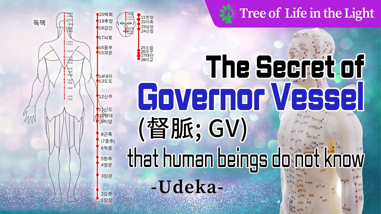 The Secret of Governor Vessel (督脈; GV) that human beings do not know ...