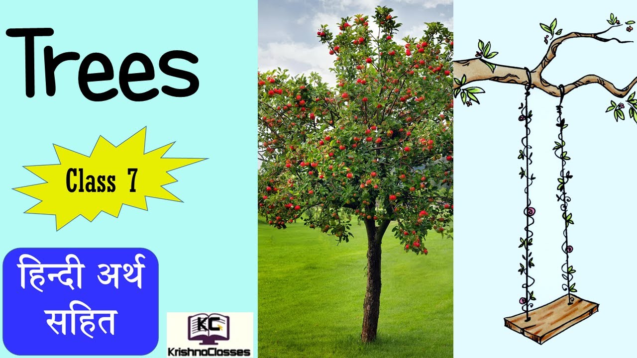 Trees Poem Class 7 Summary Pdf Trees Poem Class 7 Summary Pdf