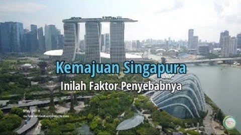 Negara di kawasan Asia tenggara yang mendapat julukan macan Asia adalah