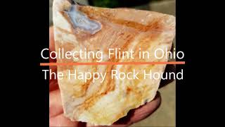 Rockhounding Ohio for Flint - the State Gemstone