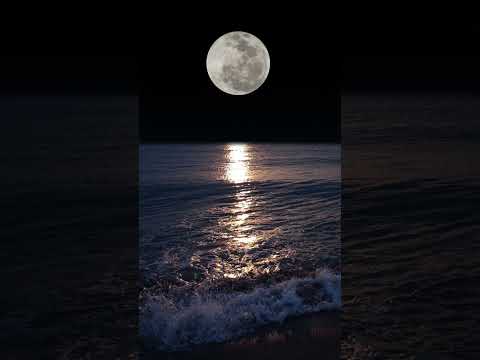 قال لاةتخافا  اكسبلور المصحف  اشترك بل قناة وفعلو الجرس ليصلكم كل جديد