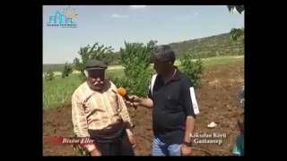 Yediği Dayağı Ballandırarak Anlatan Dayı