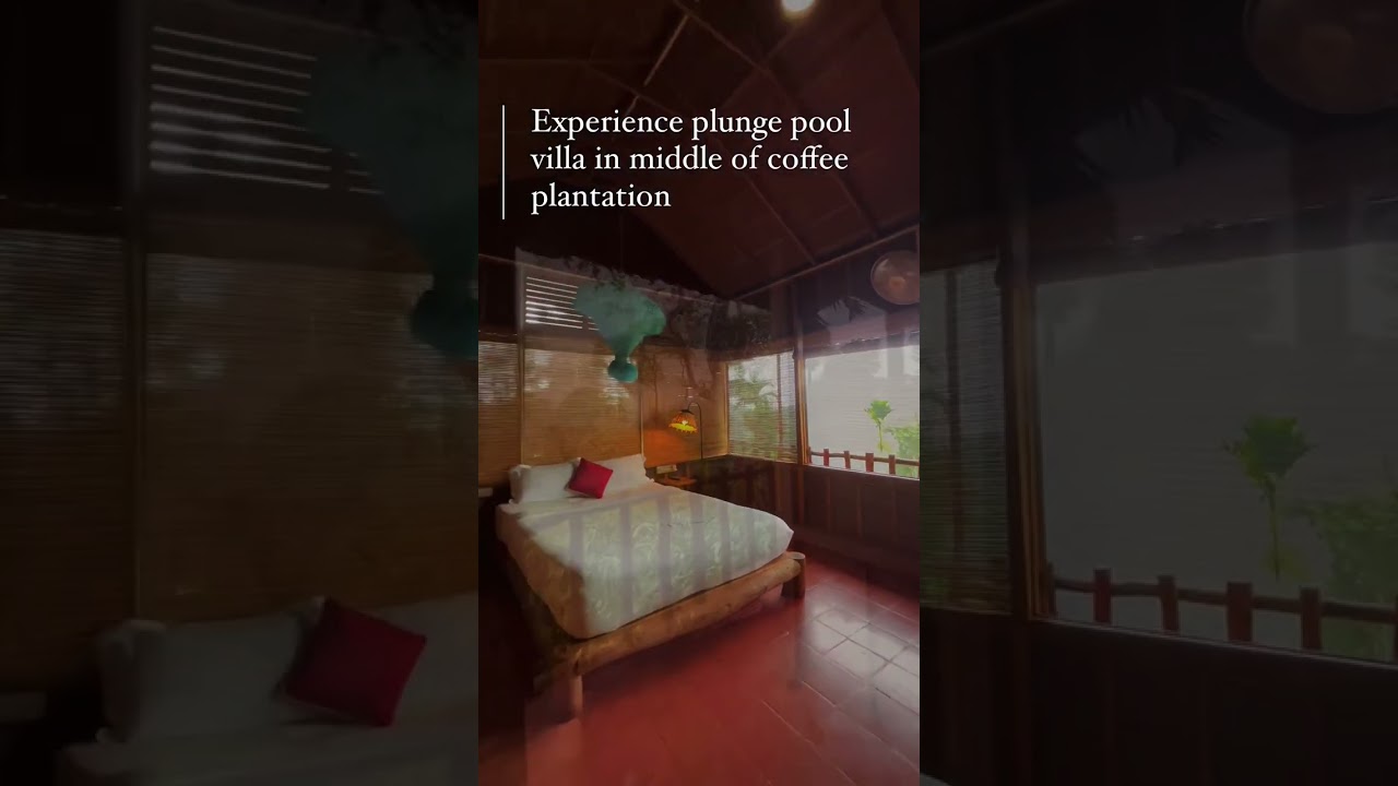 Luxury Wood House Stay in Coffee Plantation – Private Plunge Pool in Wayanad