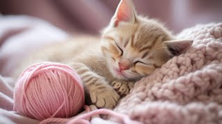 เพลงสำหรับแมวประสาท - เพลงนอนหลับผ่อนคลาย เพลงผ่อนคลายอย่างล้ำลึกสำหรับสัตว์เลี้ยงของคุณ