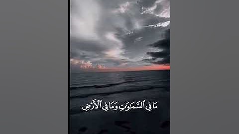 قرآن كريم بصوت القارئ: مشاري العفاسي|| أجمل حالات واتس اب دينيه || تلاوة خاشعة 🌿