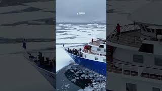The Sea Spirit carving its path through the #ice