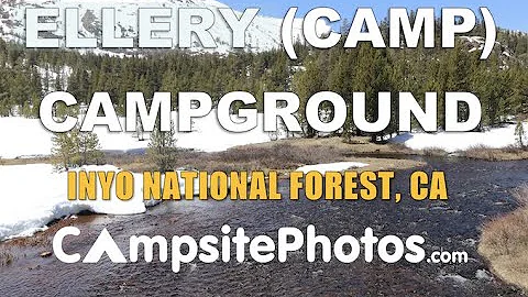 Ellery Lake Campground - Inyo National Forest, CA
