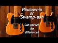 Swamp ash or paulownia can you hear the difference