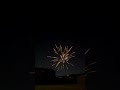 BE SAFE OUT THERE…. #4th #july4th #4thofjulyfireworks #fireworkshorts #shorts #fire