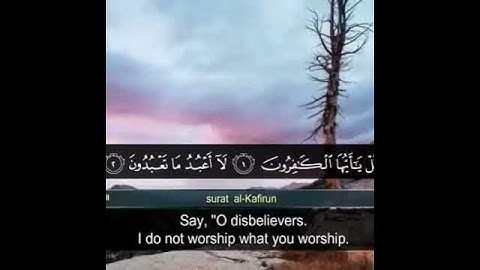 سورة الكافرون - القارئ هزاع البلوشي