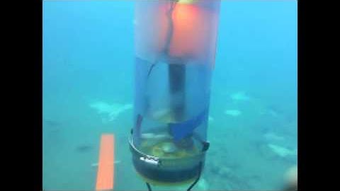 RoboSub 2013-2014 Beginning Promo Video