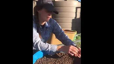 How to Create Garden Soil from Sheet Mulching