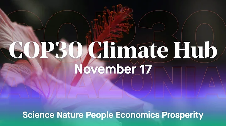 COP 30 - November 17