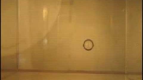 Anti-bubble Demonstration with Scale