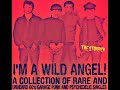 I'm A Wild Angel! A Collection Of Rare And Unheard 60's Garage Punk And Psychedelic Singles