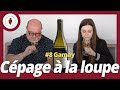 Cpages  la loupe 8 gamay