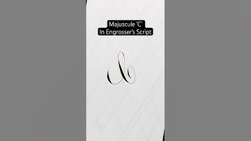 The majuscule letter ‘C’ in Engrosser’s Script#calligraphy #calligraphyart