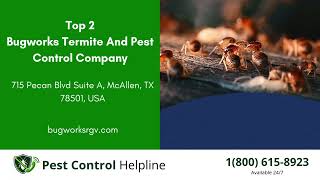 Top 3 Pest Control in Hidalgo