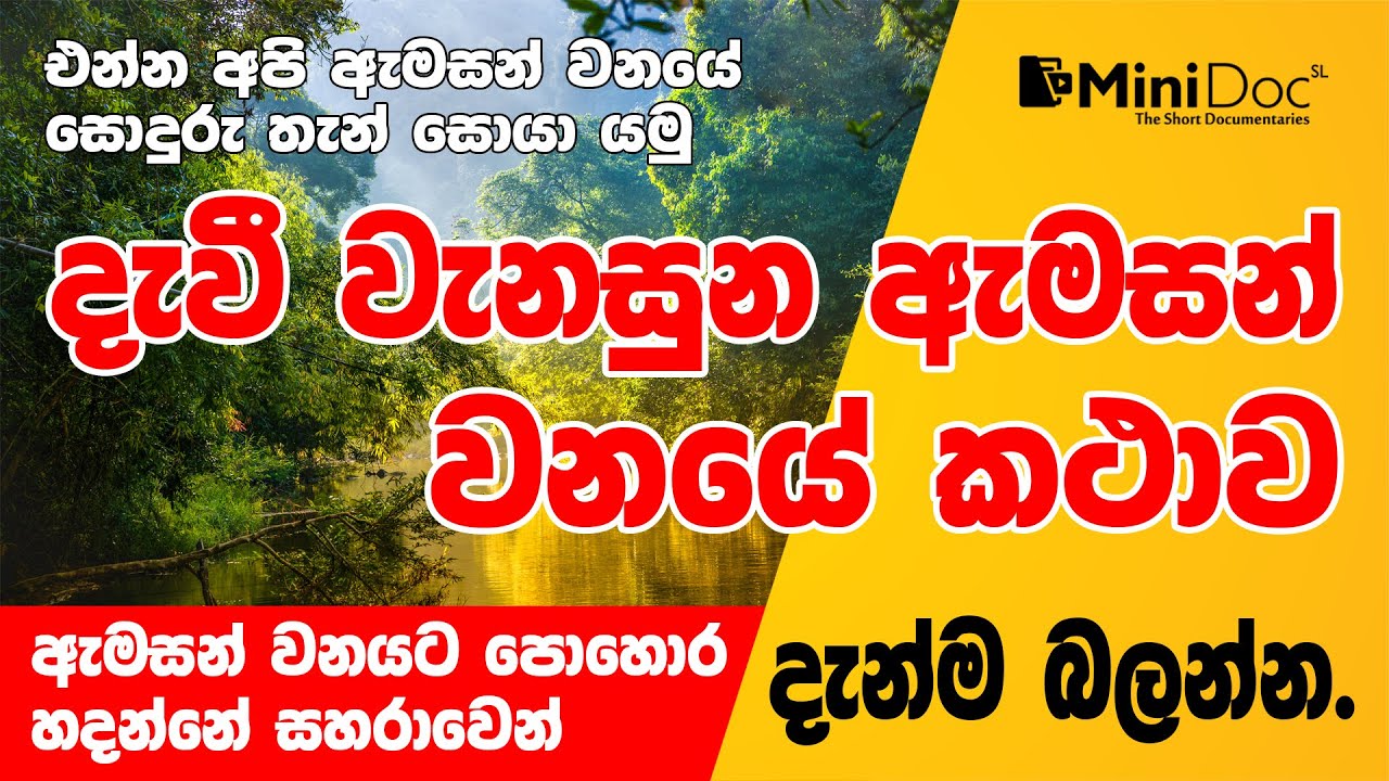 Mini Doc SL Amazon Rain forest Documentary Sinhala Documentary YouTube
