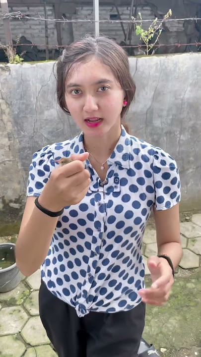 Burung prenjak juara lepas #shorts #burung