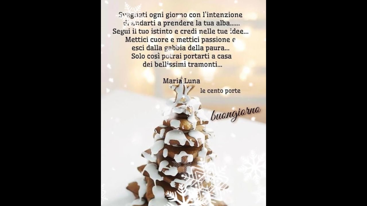 Фразы с рождественской атмосферой 🎄🎄🎄Счастливой субботы