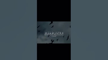 وإذ قال إبراهيم رب أرني كيف تحيي الموتى قال أولم تؤمن قال بلى ولكن ليطمئن قلبي #سورة_البقرة #قران