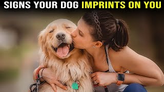 Celebrity 10 Secrets your dog knows about you Profile