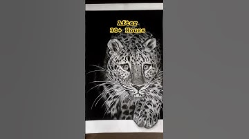 Hyper realistic Leopard 🐆Drawing with Charcoal #shorts #ytshorts #tiger #drawing #viralshorts
