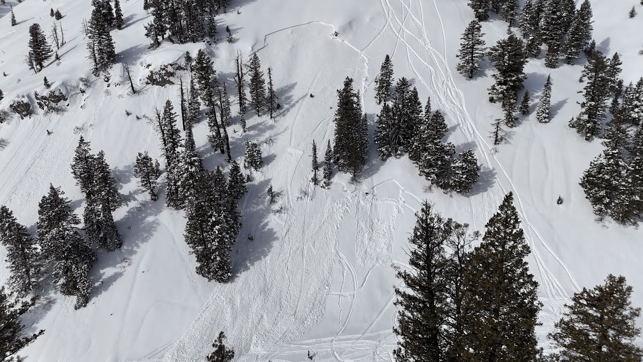 Carrot Canyon Avalanche Fatality - 22 Feb 2026