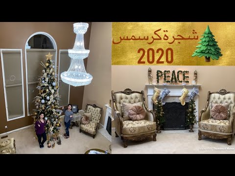 فيديو: شجرة عيد الميلاد على وشك الطلاق