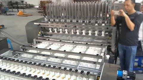 Cookie Paper Tray Loading System Biscuit /wafer/cookie/sandwiching Production Line -APEX MACHINERY