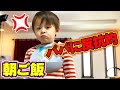 朝ごはん パパに反抗的…怒られても動じないしぃしぃ…モグモグ♪