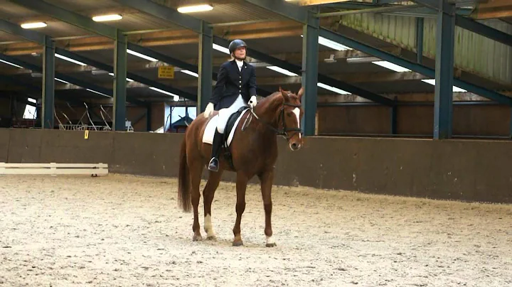 2012-01-08 Danielle Prins met paard Chesterson R