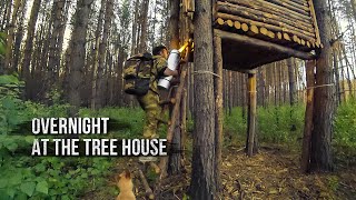 Overnight at the tree house. Vegetable garden in the forest. Russian bushcraft.