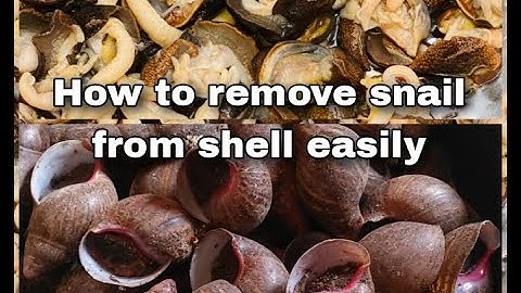 HOW TO REMOVE SNAIL FROM SHELL EASILY